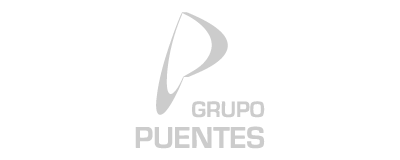 Grupo Puentes